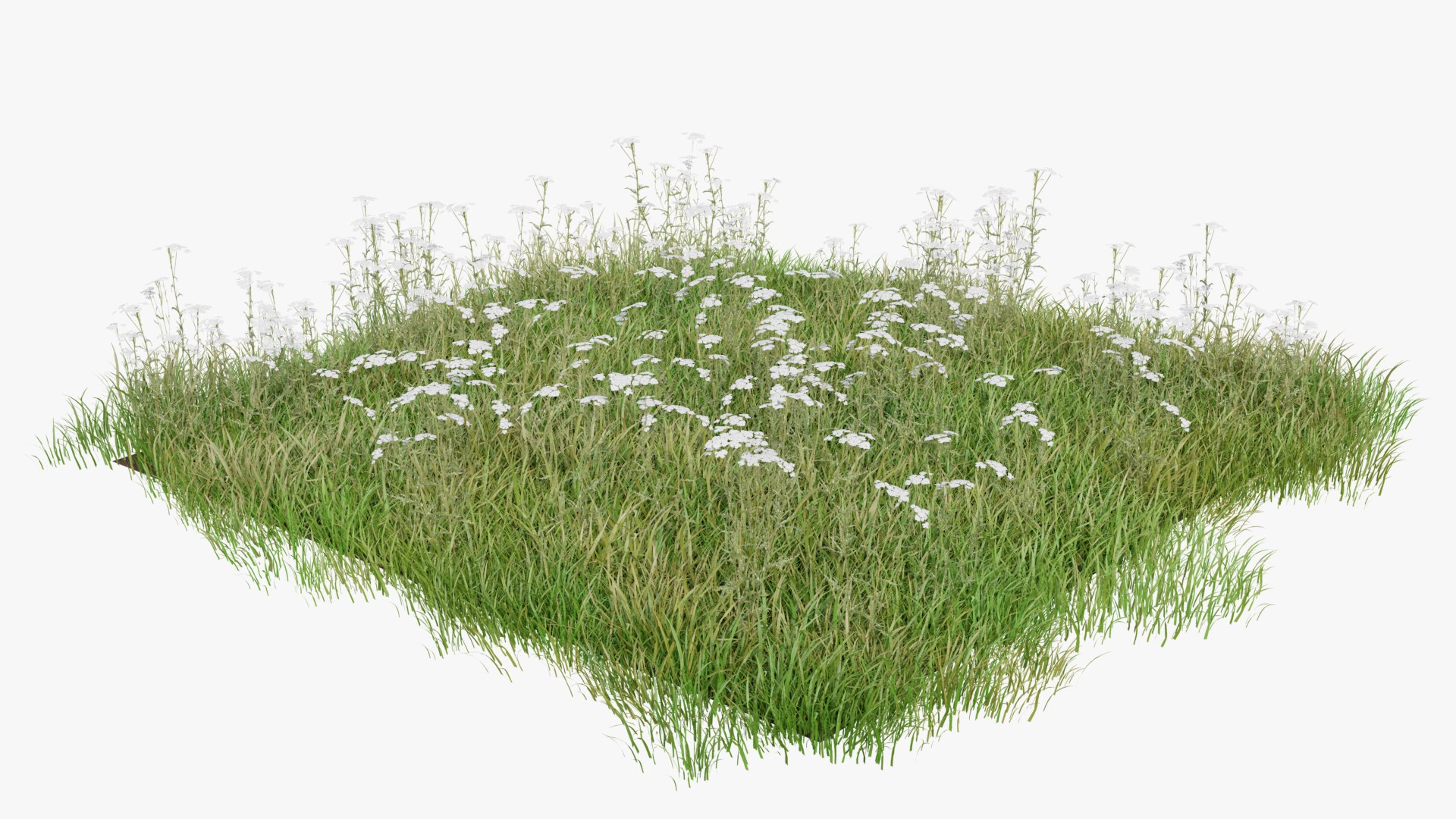 3D Grasses and Flower Field Package https://p.turbosquid.com/ts-thumb/nE/jJs5RQ/hL/renderv20001copy/png/1660400876/1920x1080/fit_q87/bd0cae376648f816afbe66343de11d7665fe3c8c/renderv20001copy.jpg