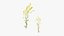 Grasses and Flower Field Package