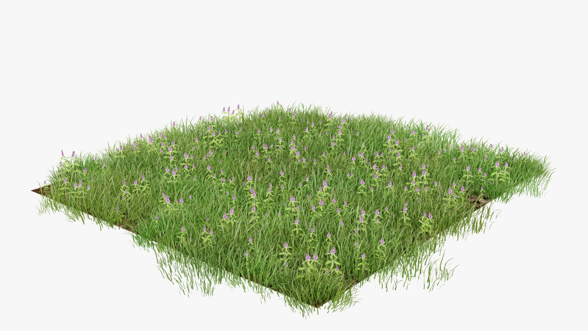 3D Grasses and Flower Field Package https://p.turbosquid.com/ts-thumb/nE/jJs5RQ/mY/renderv20010copy/png/1660400880/1920x1080/fit_q87/40e7af07ae07c2a01d90e337062178c21cc8edb0/renderv20010copy.jpg