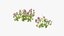 Grasses and Flower Field Package