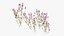 Grasses and Flower Field Package