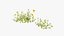 Grasses and Flower Field Package