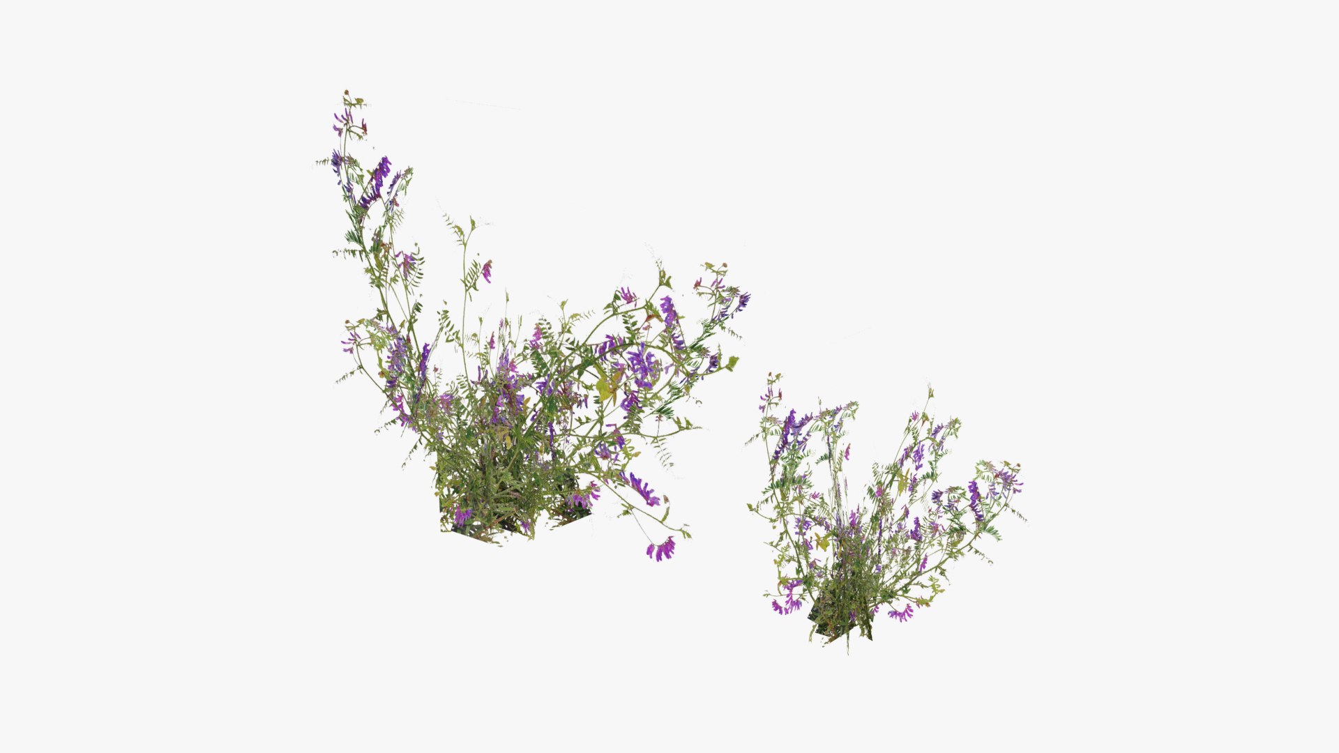 3D Grasses and Flower Field Package https://p.turbosquid.com/ts-thumb/nE/jJs5RQ/rv/render0029copy/png/1659882671/1920x1080/fit_q87/0b82190d7606decaec219e54086eab641c6a0837/render0029copy.jpg