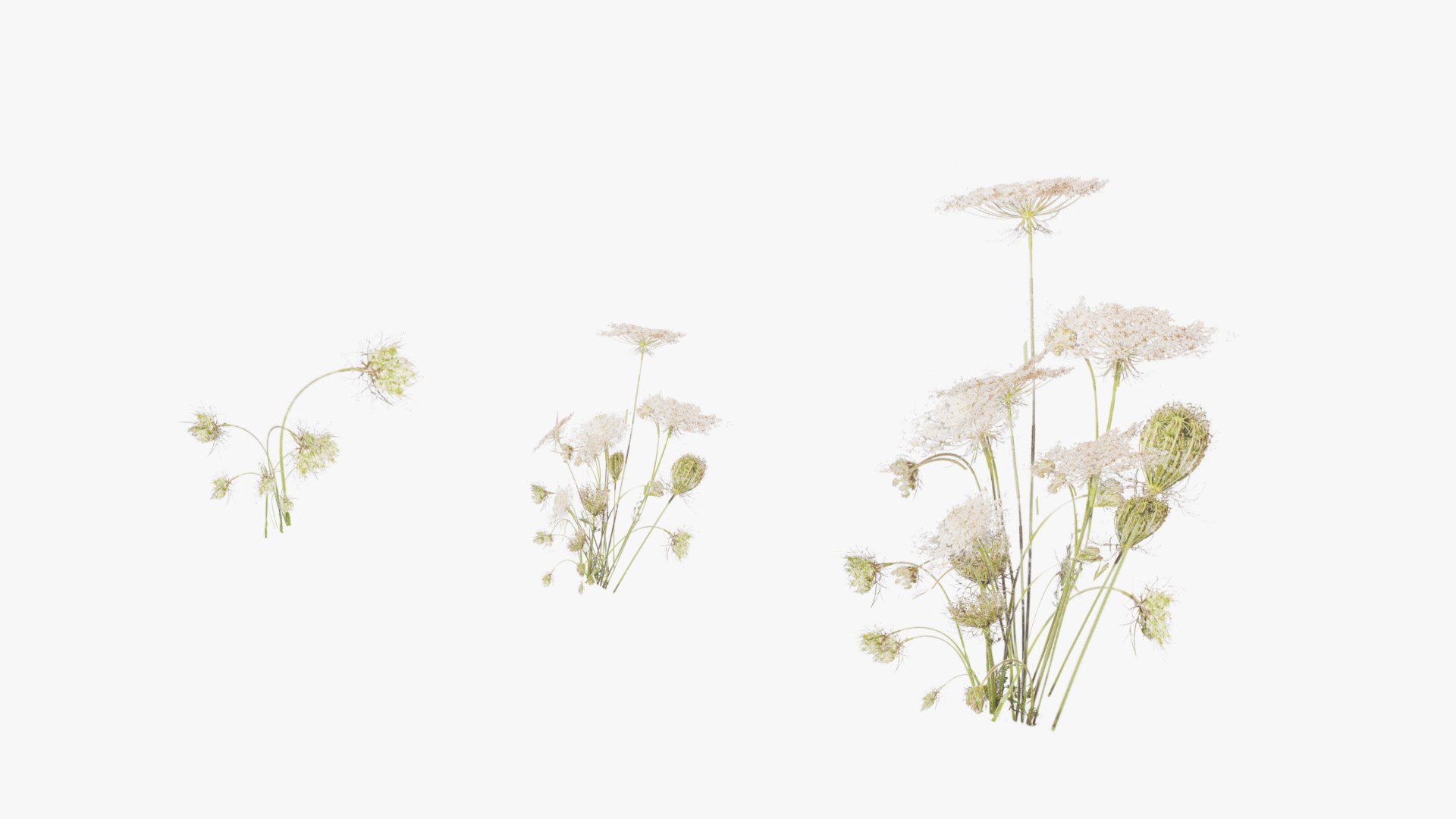 3D Grasses and Flower Field Package https://p.turbosquid.com/ts-thumb/nE/jJs5RQ/uj/render0021copy/png/1659882667/1920x1080/fit_q87/cfca84d57c8457b0eda421adfd1d2d59aa97caf6/render0021copy.jpg