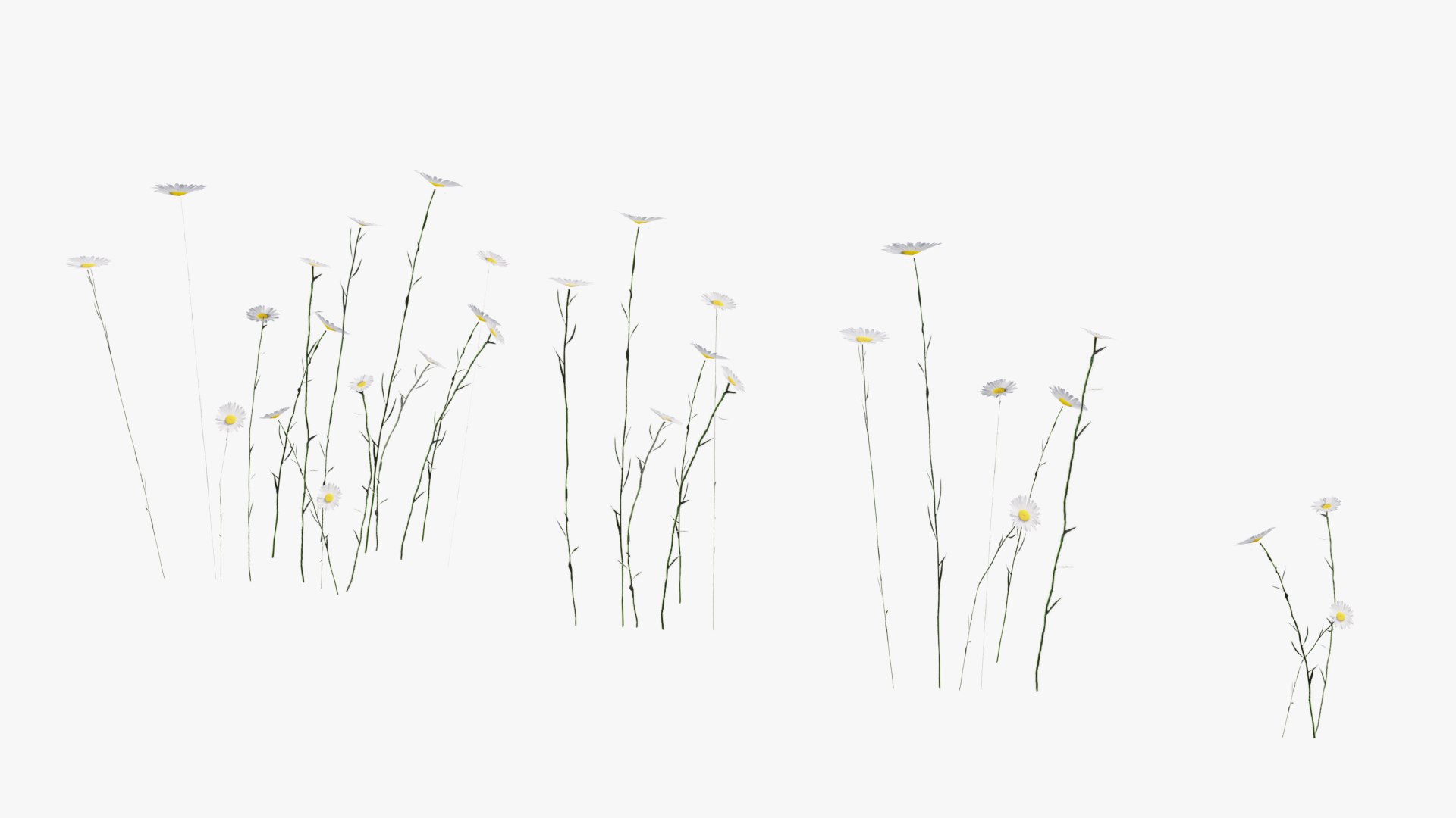 3D Grasses and Flower Field Package https://p.turbosquid.com/ts-thumb/nE/jJs5RQ/yL/render0022copy/png/1659882667/1920x1080/fit_q87/2c76f30c1317c2053cbbfd07d598bbca9b052c96/render0022copy.jpg