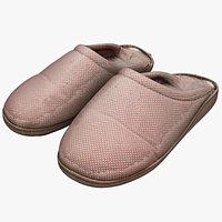 Shoes 138 Slippers