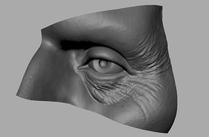 eye eyelids 3dprint 3D model