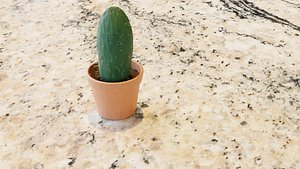 Potted Cactus 3D model