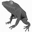 Frogs Collection