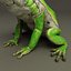 Frogs Collection