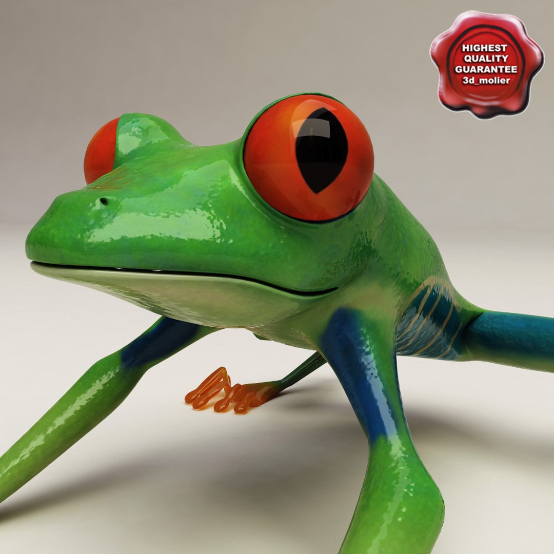 3d frogs hyla arborea model https://p.turbosquid.com/ts-thumb/nF/CkWtQF/HlrvxvZj/frogs_collection_30/jpg/1312926627/1920x1080/fit_q87/26aa247858455c75f47c4ede43574ec1382de900/frogs_collection_30.jpg