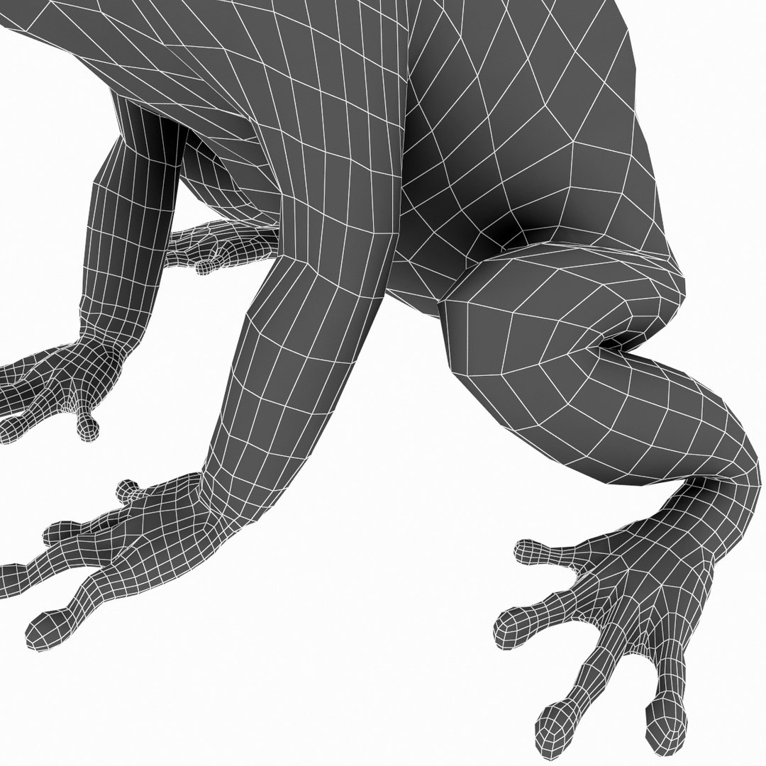 3d frogs hyla arborea model https://p.turbosquid.com/ts-thumb/nF/CkWtQF/ZXldx5s8/frogs_collection_28/jpg/1312926627/1920x1080/fit_q87/3f122f44e9ec30aa6045e1aeef271edc67b4e9f1/frogs_collection_28.jpg