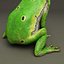 Frogs Collection