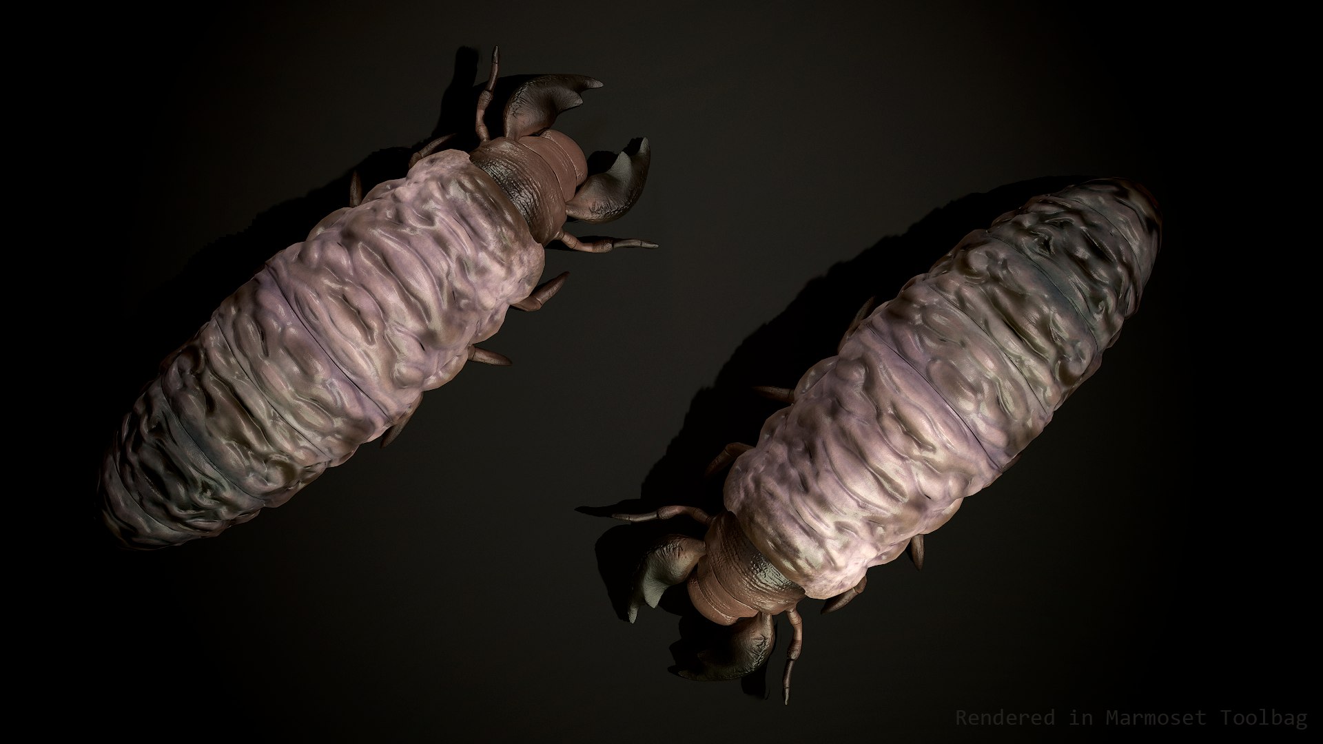 Larva Insect2 3D Model - TurboSquid 2248729