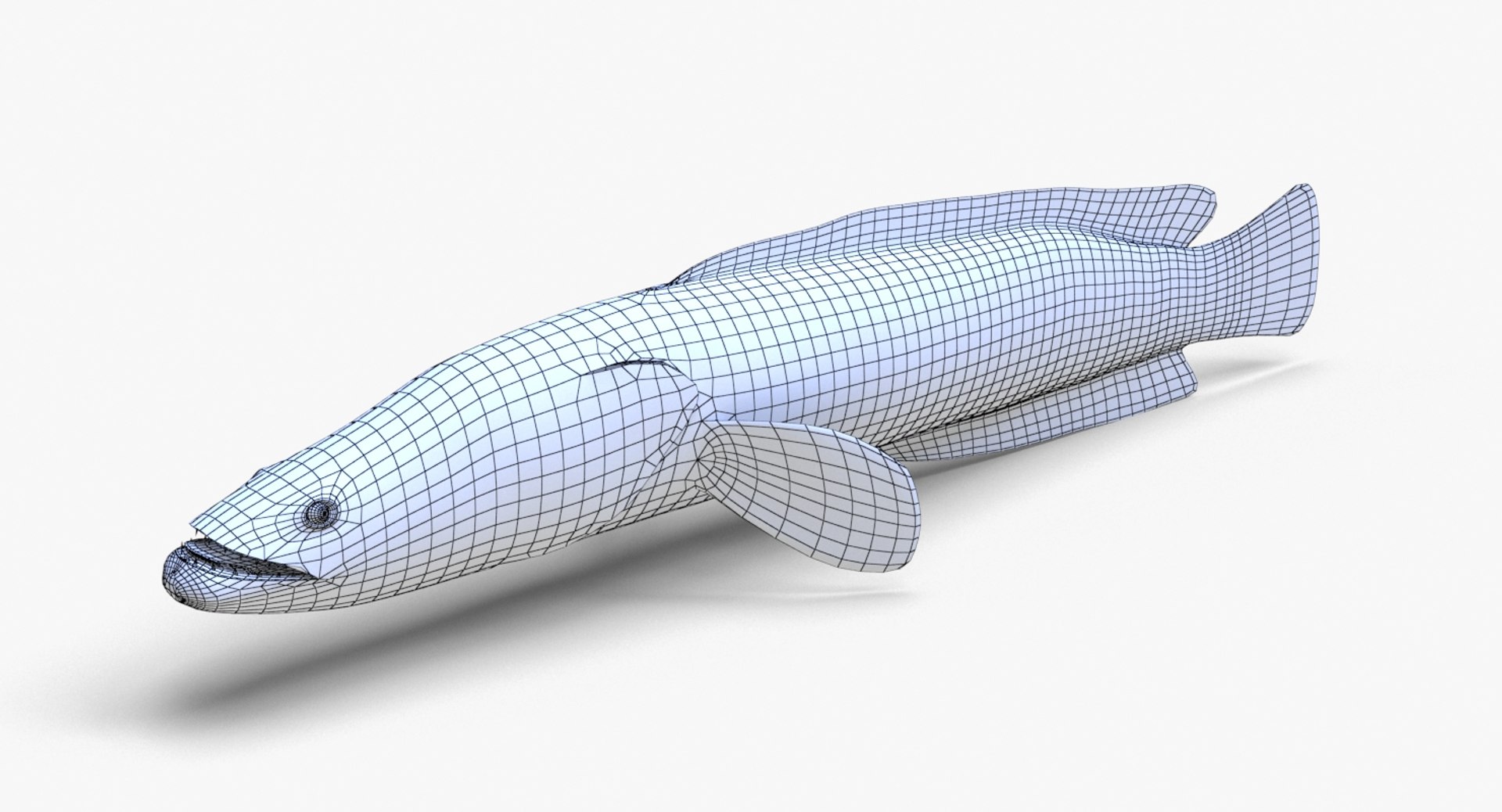 3D Fish Snakehead - TurboSquid 1384789