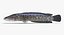 Snakehead