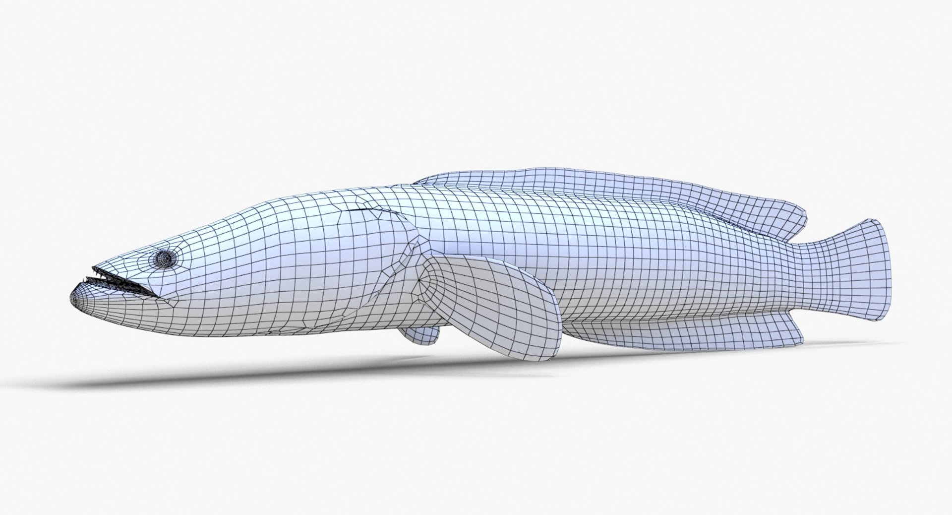 3D Fish Snakehead - TurboSquid 1384789