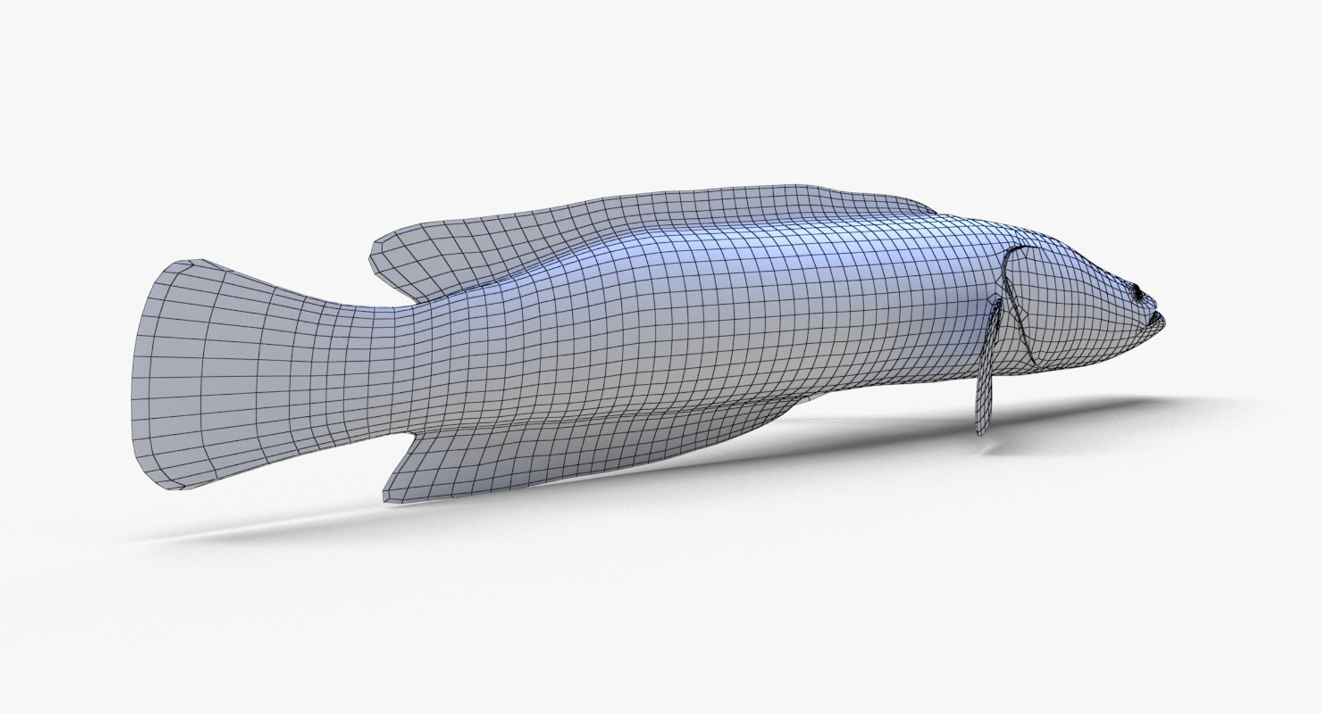 3D Fish Snakehead - TurboSquid 1384789