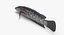 Snakehead