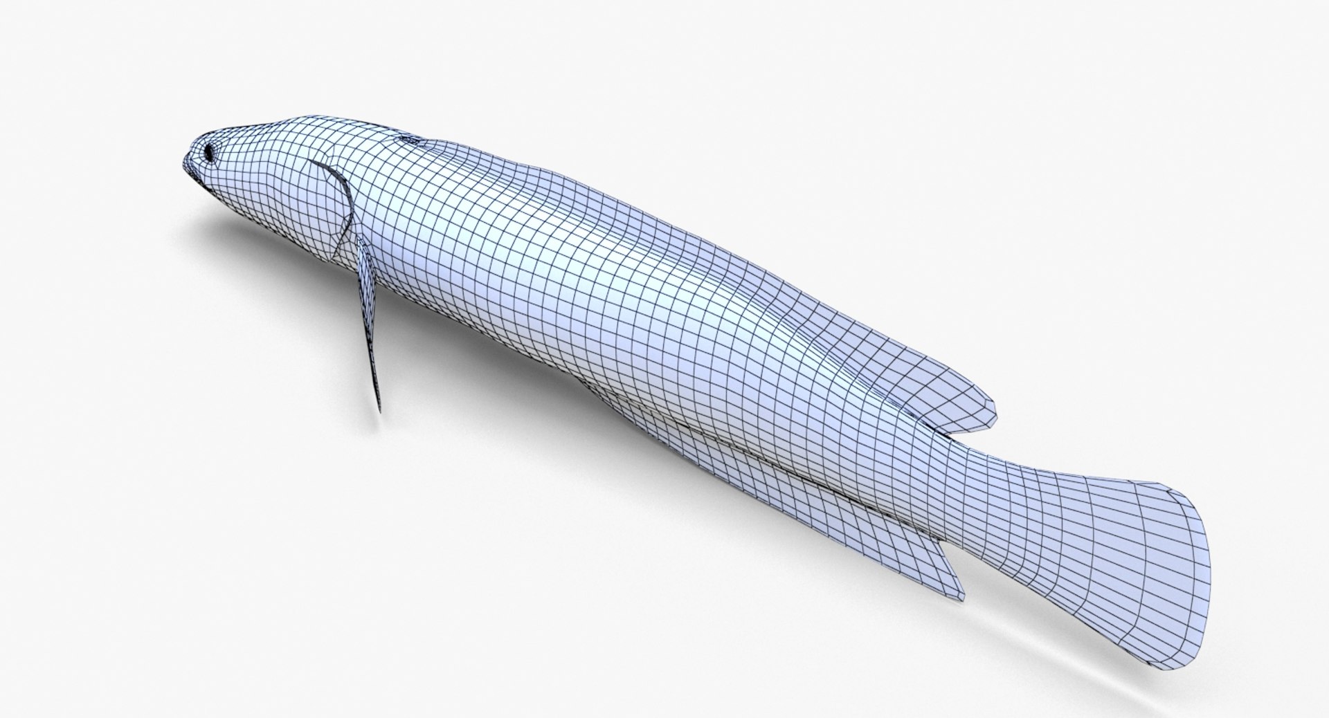 3D Fish Snakehead - TurboSquid 1384789