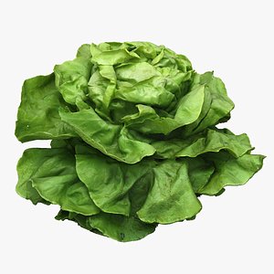 Salad Head 12