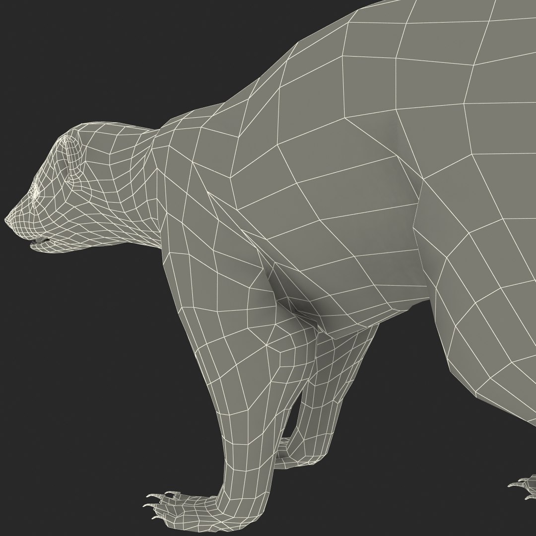max skunk https://p.turbosquid.com/ts-thumb/nF/Le2I38/6Hp5bysb/skunk_176/jpg/1395419669/1920x1080/fit_q87/845c74ab2b81f79d57f5cfb55966b138936da22b/skunk_176.jpg