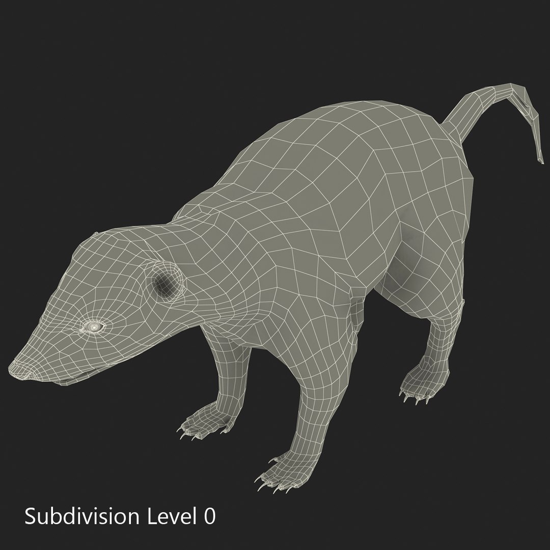 max skunk https://p.turbosquid.com/ts-thumb/nF/Le2I38/Av8FHxtd/skunk_5/jpg/1395419071/1920x1080/fit_q87/203f404068844596422250f4dafcaa04a03771b9/skunk_5.jpg