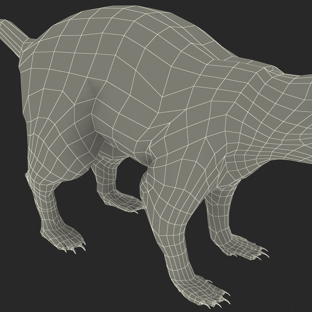 max skunk https://p.turbosquid.com/ts-thumb/nF/Le2I38/DUmoWck1/skunk_175/jpg/1395419665/1920x1080/fit_q87/e78522c0111b7b37999171fd9fc8f7ba3abe17b4/skunk_175.jpg