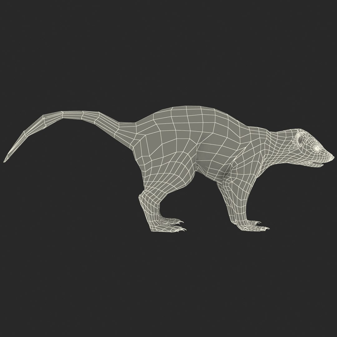 max skunk https://p.turbosquid.com/ts-thumb/nF/Le2I38/EbjS8yD2/skunk_166/jpg/1395419634/1920x1080/fit_q87/1712e403d53508d3e212a469273f9f367355ffef/skunk_166.jpg