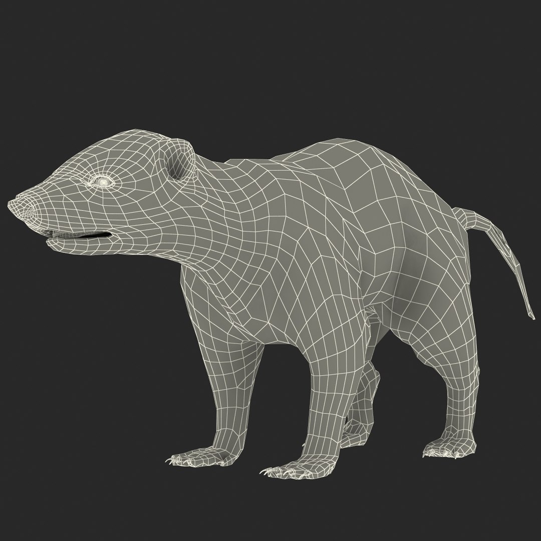 max skunk https://p.turbosquid.com/ts-thumb/nF/Le2I38/GCbw7md9/skunk_169/jpg/1395419644/1920x1080/fit_q87/c1d29f04578dd2bf9f241cde7be4d01334319d62/skunk_169.jpg