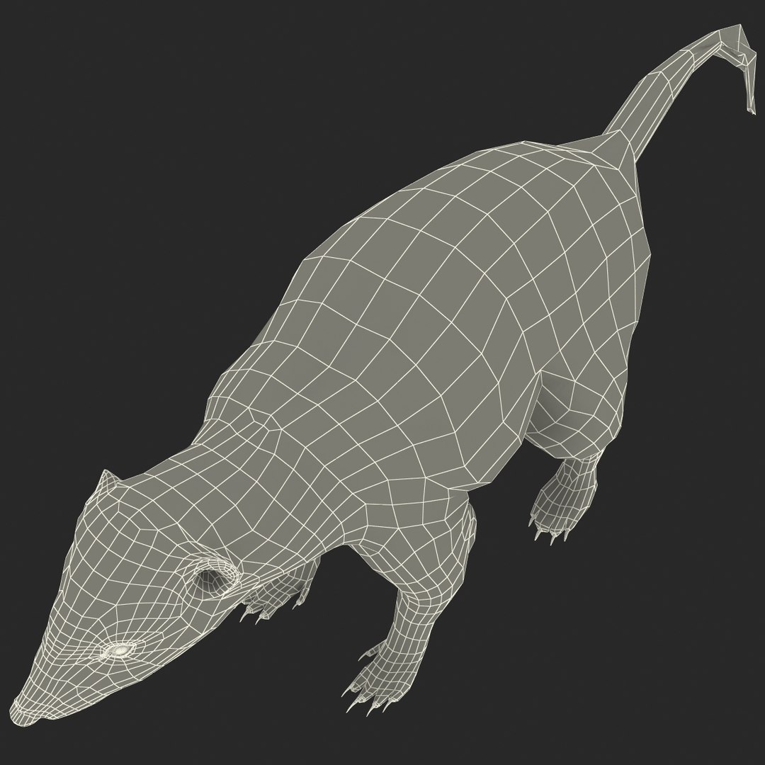 max skunk https://p.turbosquid.com/ts-thumb/nF/Le2I38/QonaZc1b/skunk_168/jpg/1395419641/1920x1080/fit_q87/3f43c7042304df2f94a59e741126ea8a9fd4c2ed/skunk_168.jpg
