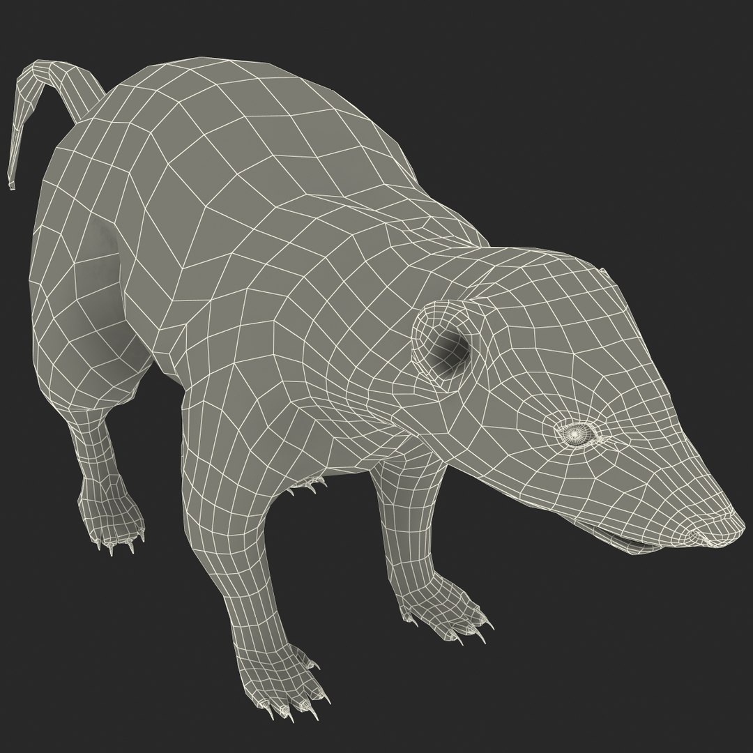 max skunk https://p.turbosquid.com/ts-thumb/nF/Le2I38/o6kil8yE/skunk_170/jpg/1395419647/1920x1080/fit_q87/bc17067e19b853c18e52bcd78c783c02d499d82b/skunk_170.jpg