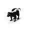 Skunk