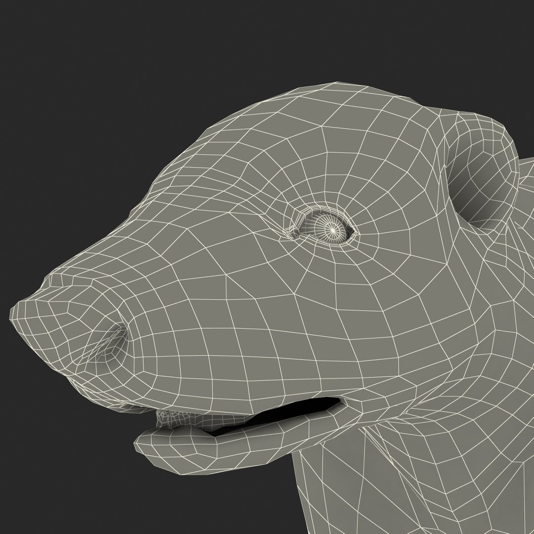 max skunk https://p.turbosquid.com/ts-thumb/nF/Le2I38/wClpMbSw/skunk_172/jpg/1395419655/1920x1080/fit_q87/d2698009b8b8b7d5a1a4ca650b8b7737a78b4a37/skunk_172.jpg