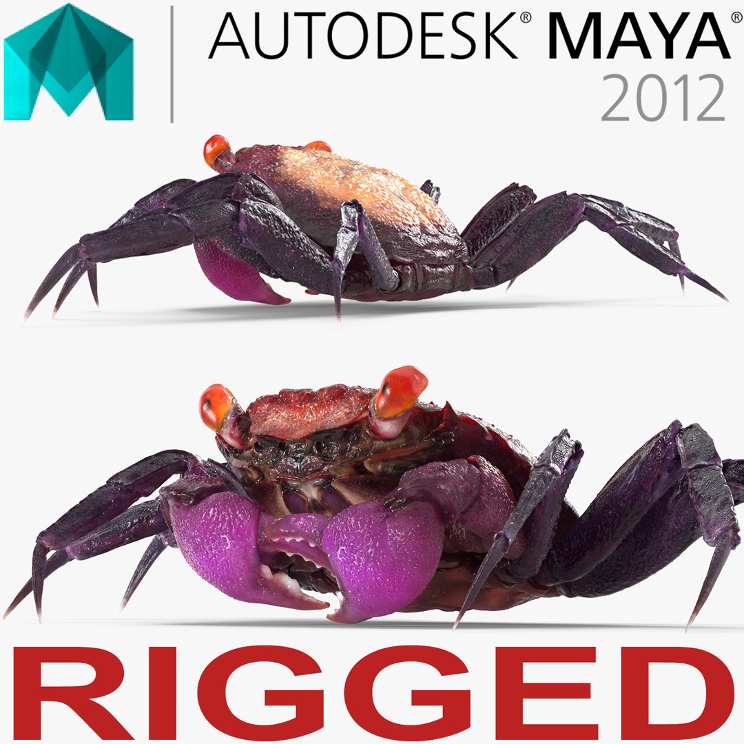 Vampire Crab Geosesarma Rigged for Maya 3D model preview