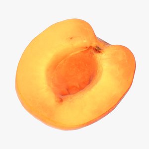 3D half apricot model