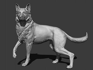German Shepered 001 model