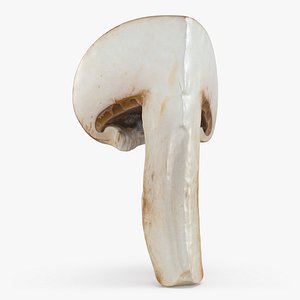 Mushroom Swiss Brown Slice 3D model