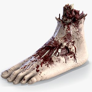 Severed Foot 3D model