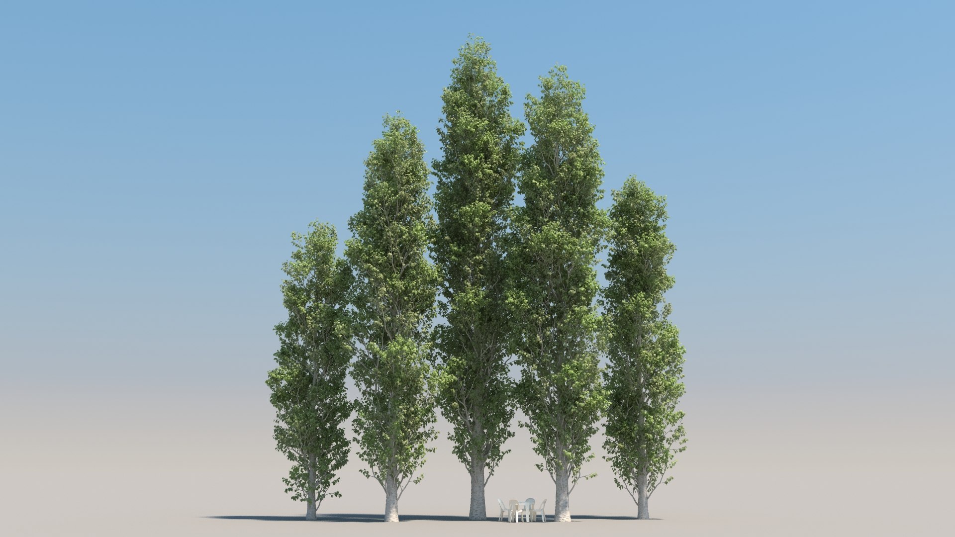 populus nigra trees 5 3d max