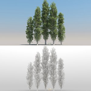 populus nigra trees 5 3d max
