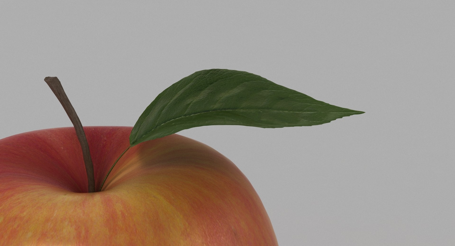 3d apple leaf realistic https://p.turbosquid.com/ts-thumb/nG/Jk6xBu/US2tNObx/apple_014/jpg/1452581281/1920x1080/fit_q87/a69283e218bce976e5e92eca63057cd48eb35cf3/apple_014.jpg
