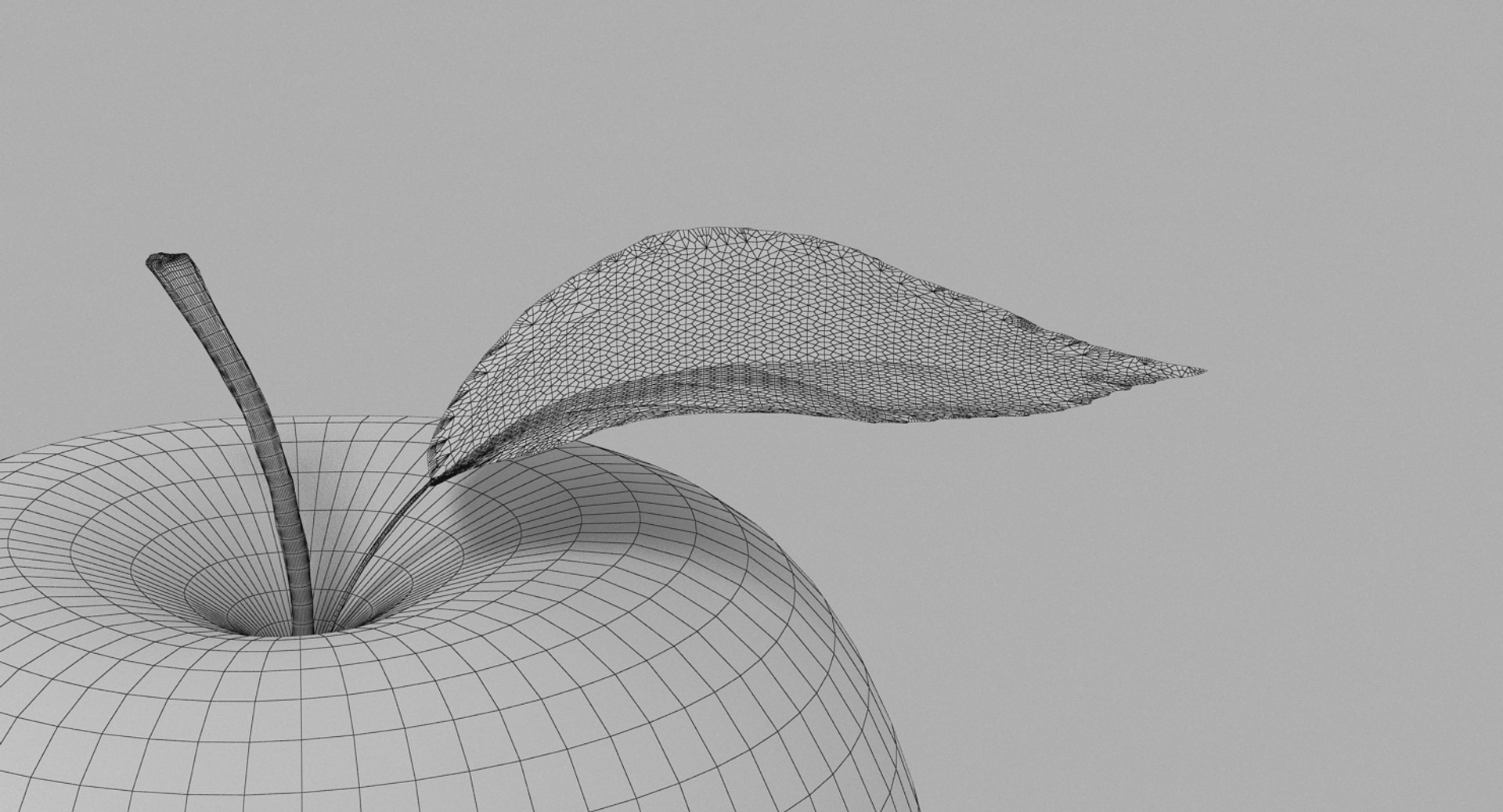 3d apple leaf realistic https://p.turbosquid.com/ts-thumb/nG/Jk6xBu/XVjugdFV/apple_015/jpg/1452581281/1920x1080/fit_q87/7ec85941f68bb454164579c398f59f8029df4100/apple_015.jpg