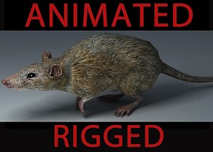 max rat animation