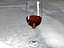 Wine Glass