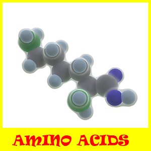 proteinogenic amino acids 3d model