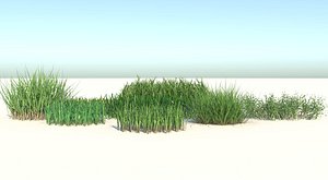 grass 3D