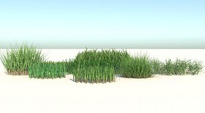 Grass Collection