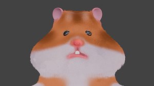 funny hamster
