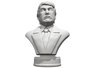 Donald Trump presidental edition